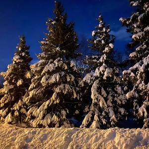 Meet your Posher, Kay